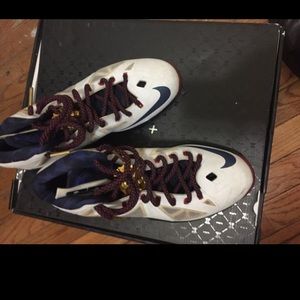 Lebron 10 gold medal